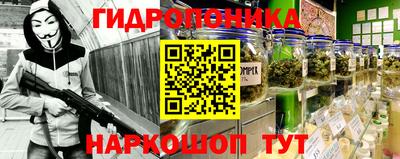 PSILOCYBIN Бугуруслан