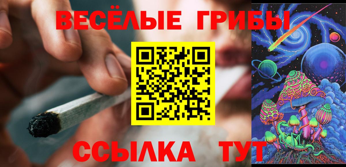 Кубинка  Псилоцибиновые грибы Psilocybine cubensis  Вход с VPN 